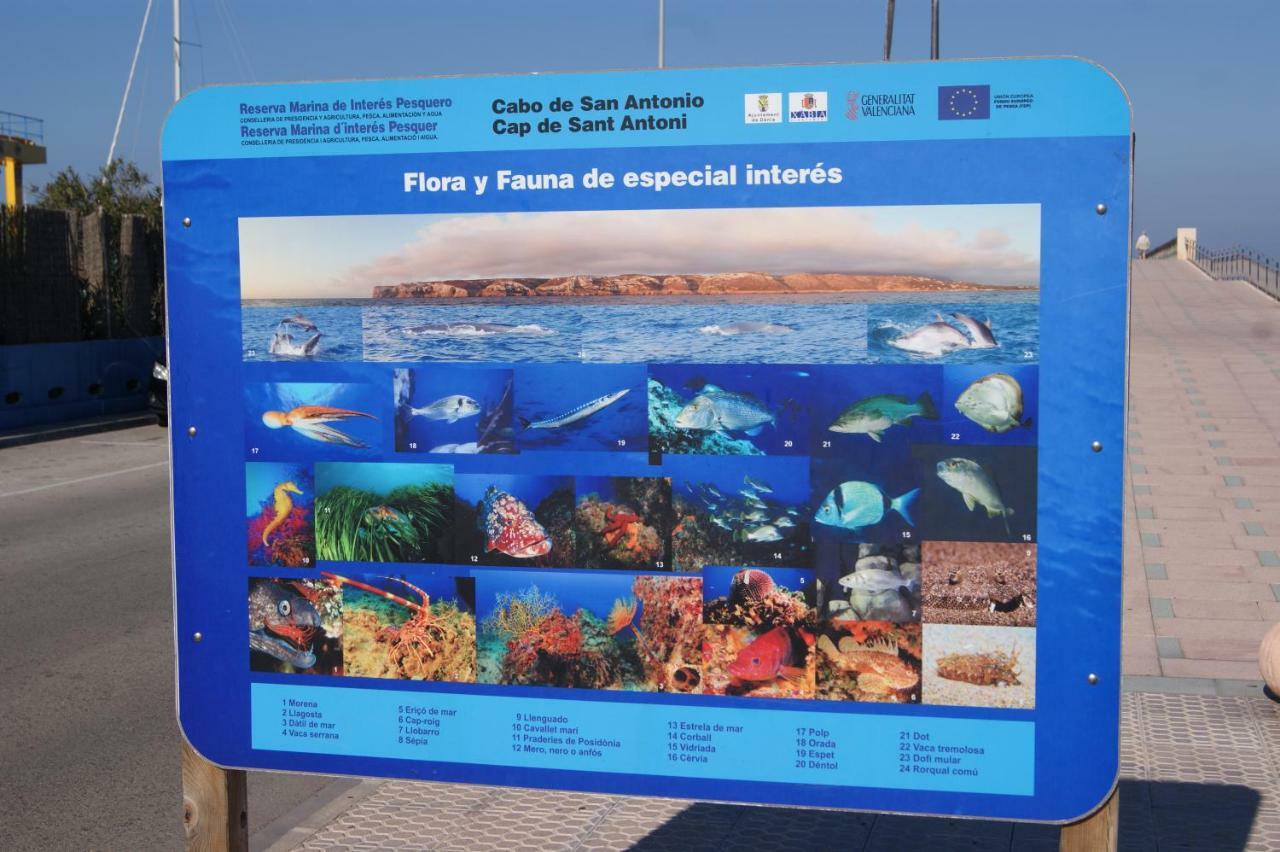 Apartamento Las Marinas II En Denia Eksteriør bilde